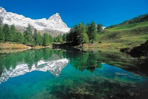 Il Tiglio Appartement *